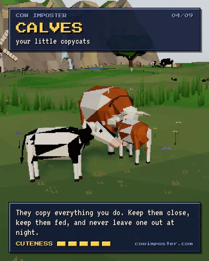 Calves: your little copycats, they follow everything you do