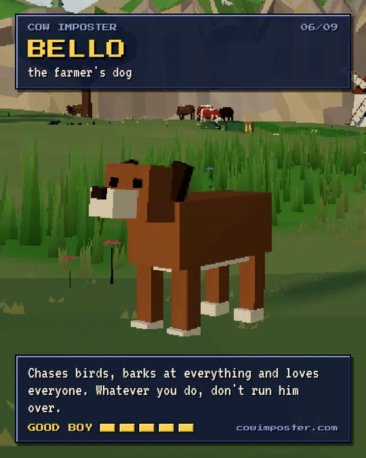 Bello, the farmer's dog: chases birds and loves everyone